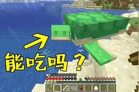 《我的世界》菜鸟生存日记03，家门口找到一只海龟，这是食物吗？