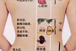 非常全面的背诊方法，身体健康不健康我们一看便知图片