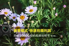 尼康D5600视频教程——场景模式｜尼康D5600说明书第2集