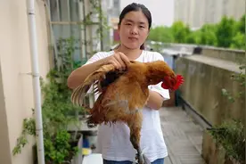 清炖大公鸡的家常做法，美味鲜嫩，这一盘真是经不住几筷子视频封面