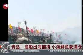收获满满！休渔期结束 青岛渔船出海捕捞！视频封面