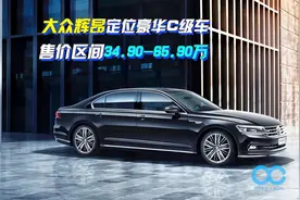 「百秒看车」大众辉昂 大众里的大哥大 却被迫停产后又国产视频封面