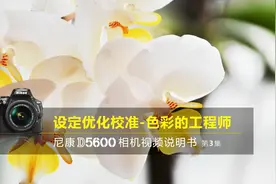 尼康D5600视频教程——设定优化校准｜尼康D5600说明书第3集