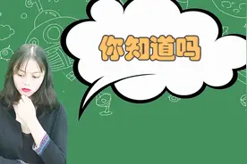 脑内风暴：如何分辨章鱼的手和脚？视频封面