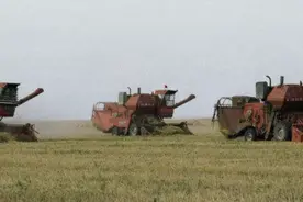俄罗斯出租100万公顷远东土地引中国人兴趣，产的粮食还供给中国视频封面