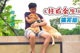 主人与金毛恶搞《往后余生》，看到最后我却哭了！视频封面