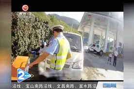 孕妇高速路上分娩，众人帮忙下顺利产下”高速宝宝“视频封面