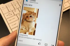 教你一键更改位置，假装在国外旅行，个性又好玩视频封面