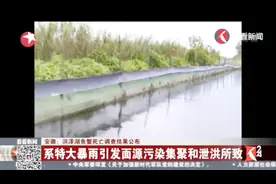 安徽：洪泽湖鱼蟹死亡调查结果公布视频封面
