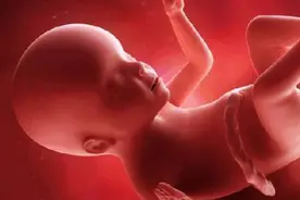 胎儿在妈妈肚子里喝什么？难道是喝尿长大的？真相你了解吗