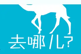 去哪儿网平台存猫腻 消费者权益屡受损视频封面