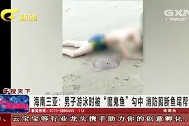男子海边游泳被“魔鬼鱼”倒刺勾中裆部，消防剪断鱼尾帮其脱困视频封面