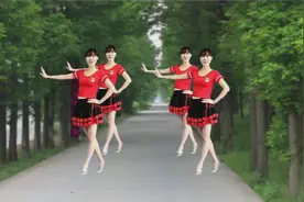 王麟演唱；《伤不起》32步广场舞，动感时尚，经典好听更好看！视频封面