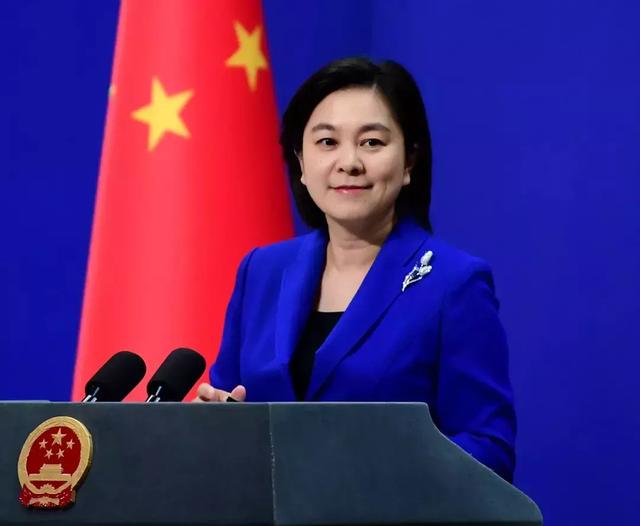 缘，妙不可言！男子寻狗掉坑里，回头一看狗子竟然也在｜新闻早资讯