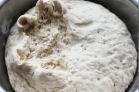 发面不用放酵母粉！只需和面时倒点它，快速发面不用等视频封面