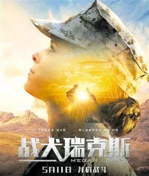 战争炼狱中，那些顽强活着的萌宠们
