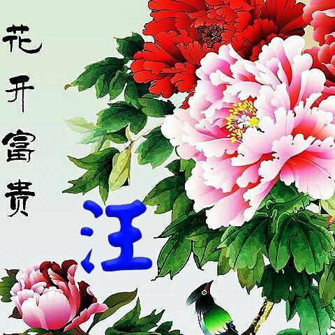 ϱֽ100ţϼͼƬؼ