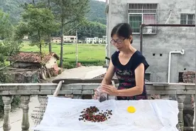 农村婆婆秘制西红柿干，晒干的西红柿味道比新鲜的好吃太多视频封面