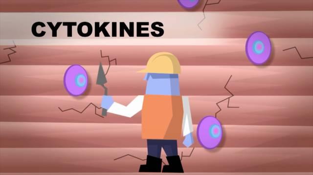 肌肉生长的过程，认真看完相当于上了一节私教课！