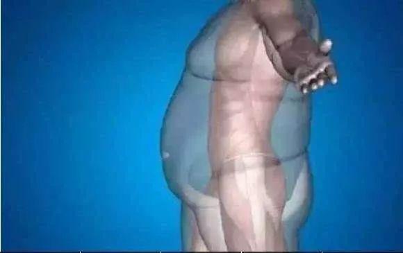 肌肉生长的过程，认真看完相当于上了一节私教课！