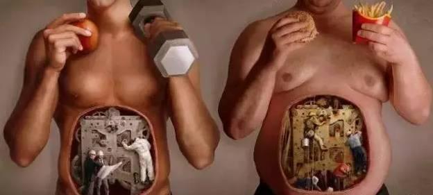 肌肉生长的过程，认真看完相当于上了一节私教课！