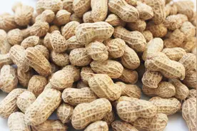 原来挑选花生还有这些小技巧，学会这几招，挑到好花生不吃亏！