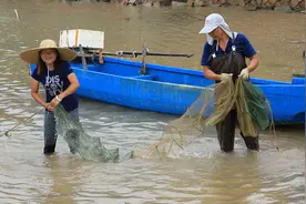 渔民地笼被螃蟹咬烂，父女俩下海洗笼，爸爸戴上帽子有点像外国人视频封面