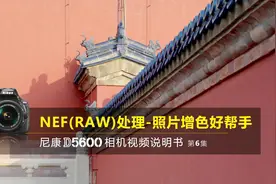 尼康D5600视频教程——NEF（RAW）处理｜尼康D5600说明书第6集