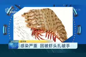 别忽视被虾头扎破手！男子被扎个小口却差点送了命！