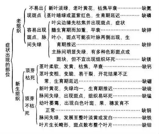 妞嶇墿缂虹礌鍘熷洜鍙婃鐗╃己绱犵棁鐘跺鐓ц〃锛屽凡鏁寸悊鎴愬伐鍏蜂功锛屾柟渚挎煡闃? onerror=