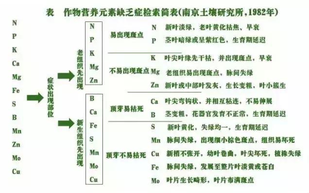 妞嶇墿缂虹礌鍘熷洜鍙婃鐗╃己绱犵棁鐘跺鐓ц〃锛屽凡鏁寸悊鎴愬伐鍏蜂功锛屾柟渚挎煡闃? onerror=