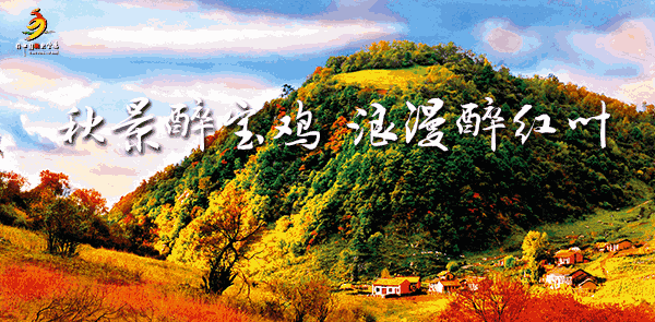 短九菱花镜攻略（九月）