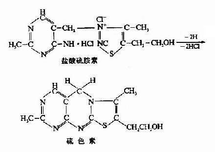 水溶性维生素