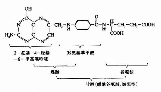 水溶性维生素