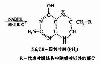 水溶性维生素