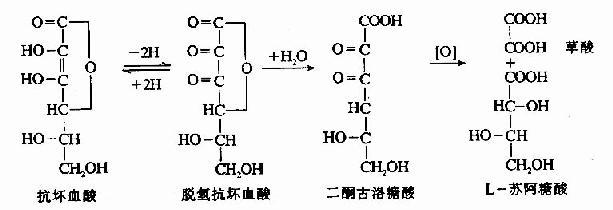水溶性维生素