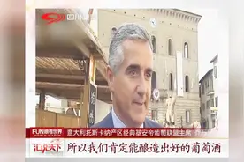 意大利：高温天气致葡萄丰收