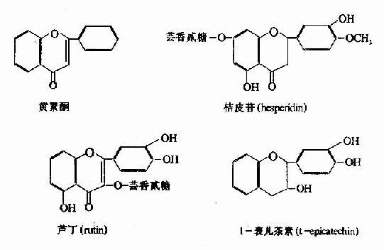 水溶性维生素