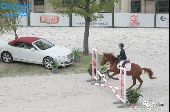 济南金展艺装饰工程有限公