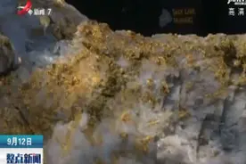 加拿大一矿业公司在澳大利亚开采出罕见金矿石视频封面