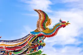 为什么有的人说龙凤是一对，又说凤凰是一对？答案终于来了视频封面