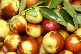 女人来月经都能吃什么水果，除了这几样，其余都可以！