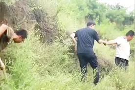 治好慈禧太后的圣药“定坤丹”是如何得来？实地揭秘其制作技艺！视频封面