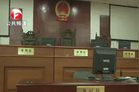 8岁男童起诉母亲要求增抚养费 被法院驳回视频封面