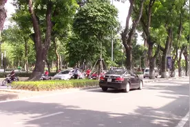 整个越南最珍贵的红木都在这里，但是没人敢动，原来……视频封面