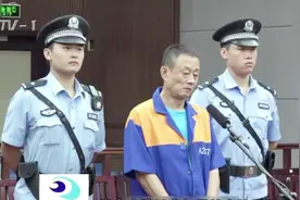 扫黑除恶新成果：聂磊黑社会团伙成员潜逃8年 回国投案视频封面