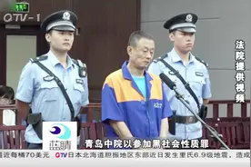 扫黑除恶新成果：聂磊黑社会团伙成员潜逃8年 回国投案视频封面