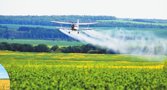 重质提效闯市场功能农业款款来 来自黑龙江省首个品牌有机功能农业示范区的调查报道