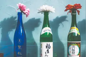 喝一口就突破你对日本酒的想象！5大超高级日本酒！视频封面
