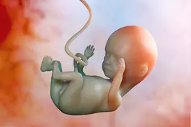 怀孕肚子中的水为什么要叫羊水，怎么不叫胎水，牛水，马水呢？